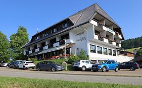 Hotel Kreuz Hoehengasthof
